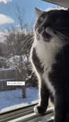 minenmi_ Altpins Profile Picture