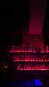 federica.piccinni Altpins Profile Picture