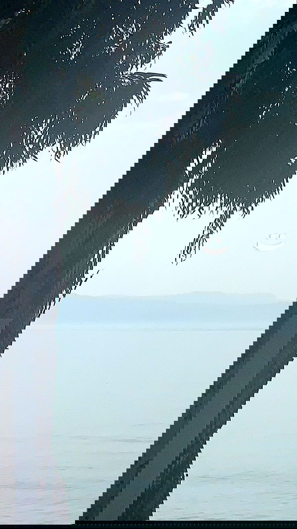 edentziru edentziru archive image