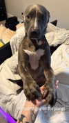 b6ylexx Altpins Profile Picture