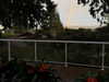 cialikechia Altpins Profile Picture
