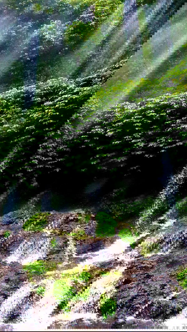 taylor.creeden taylor.creeden archive image