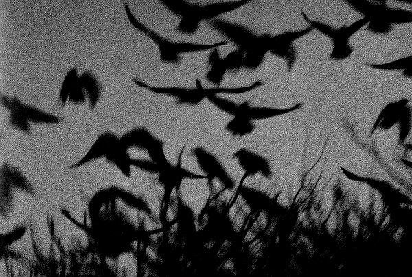 basakerrrrr instagram image archive image