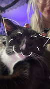 6nattynat9 Altpins Profile Picture