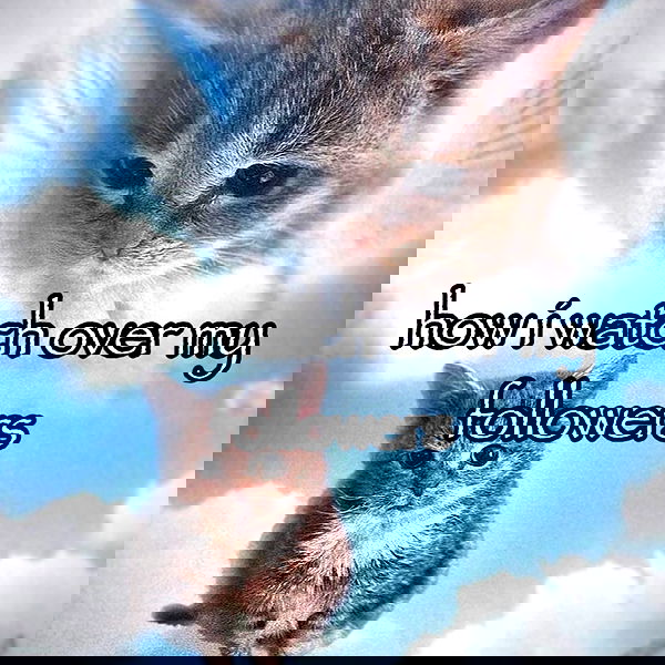 missnyxdawn missnyxdawn archive image