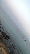 nicole_ac Altpins Profile Picture