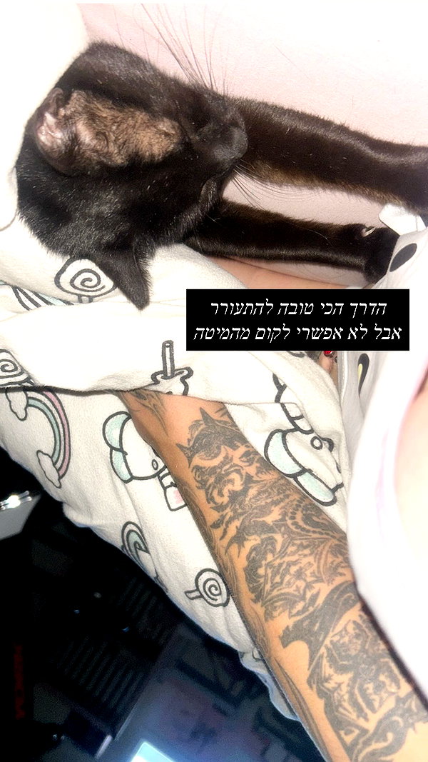 xzot1_met4xx instagram image archive image