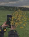 alisen.mari Altpins Profile Picture