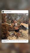 strawberryshanz Altpins Profile Picture