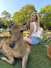 babebellalynnx Altpins Profile Picture
