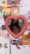 elsgatti Altpins Profile Picture