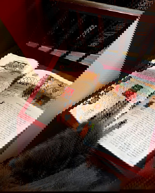 kkulakovaa image ~ Altpins