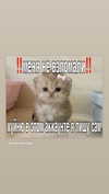 veroni22ka Altpins Profile Picture