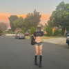 haileylayfield Altpins Profile Picture