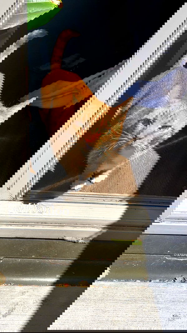 taylor.creeden taylor.creeden archive image