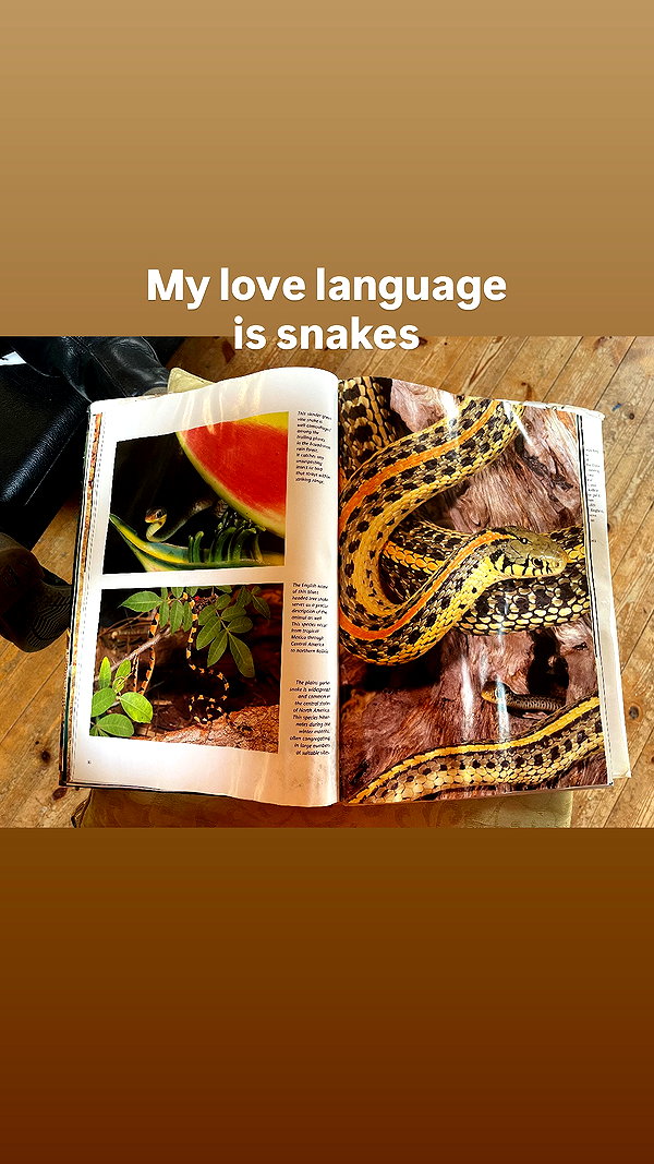 elia.shinar instagram image archive image