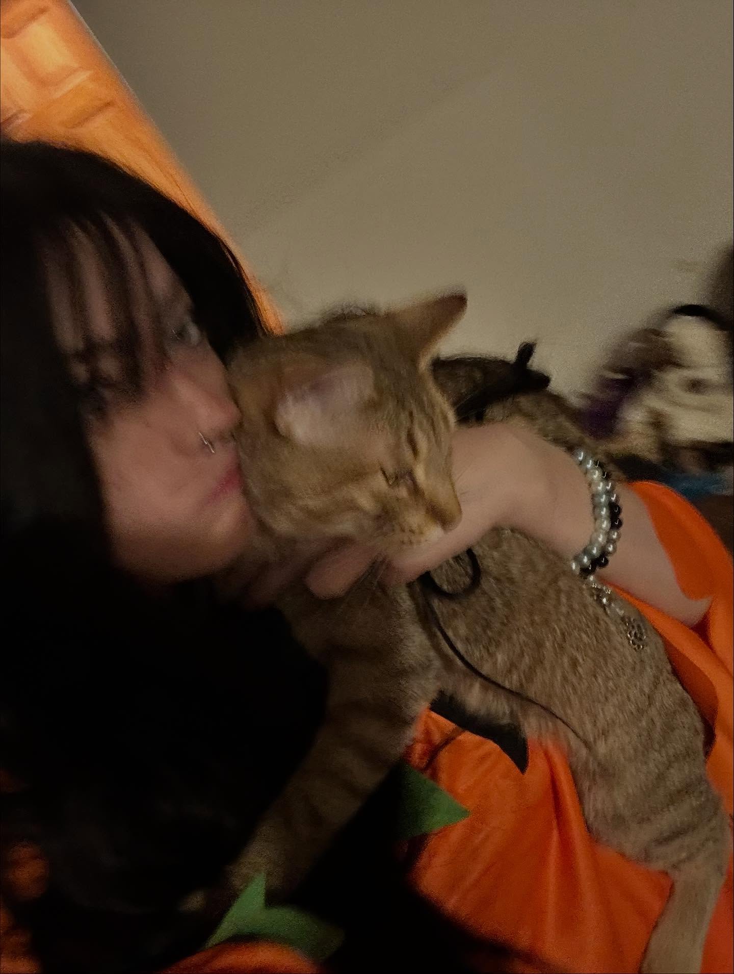 _animechika_ instagram image archive image