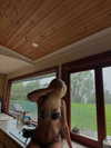 poppyymatildaa Altpins Profile Picture