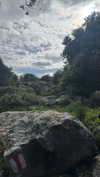 _hilaluu Altpins Profile Picture