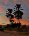 yahel_tubul Altpins Profile Picture
