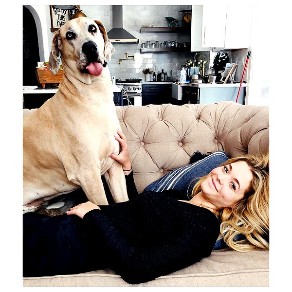 sashapieterse instagram image archive image