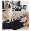 sashapieterse Altpins Profile Picture