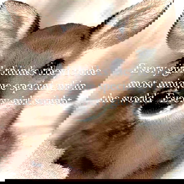 missnyxdawn missnyxdawn archive image