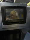 the.q.felicia Altpins Profile Picture