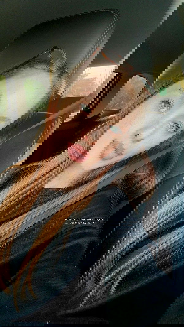 _._dianush._ _._dianush._ archive image