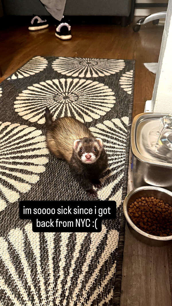 sashasucc instagram image archive image
