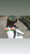 seal.lover64 Altpins Profile Picture