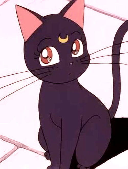 bakabakafuwa instagram image archive image