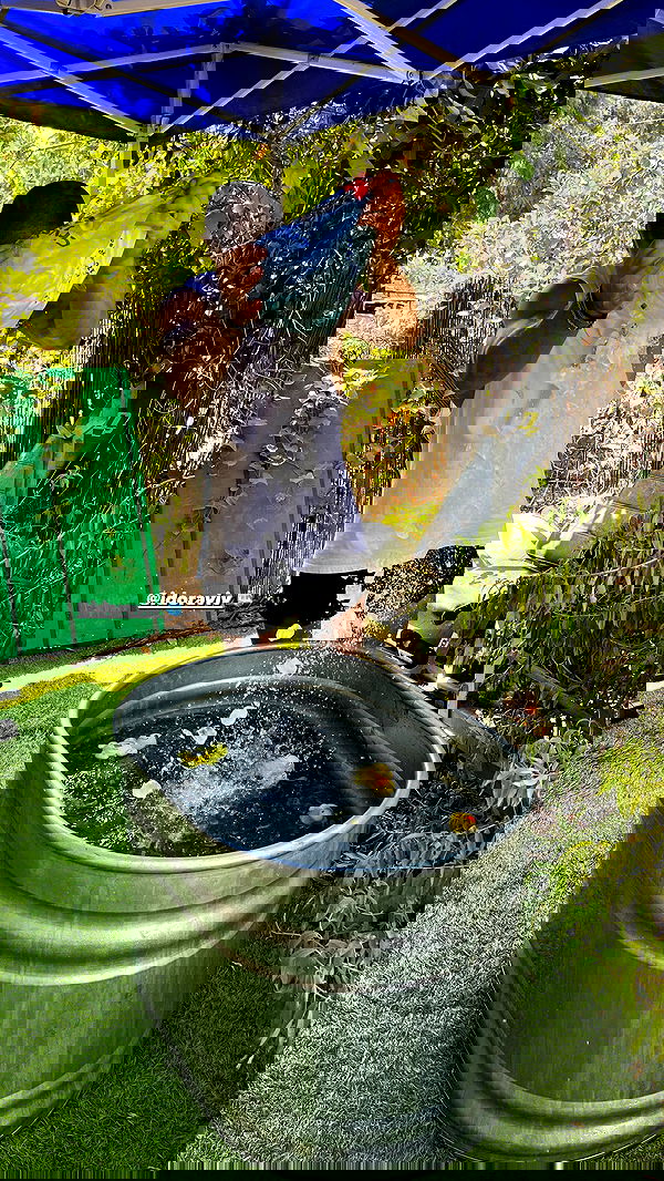 noammalka___ noammalka___ archive image