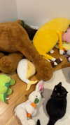 nicoleponyxox Altpins Profile Picture