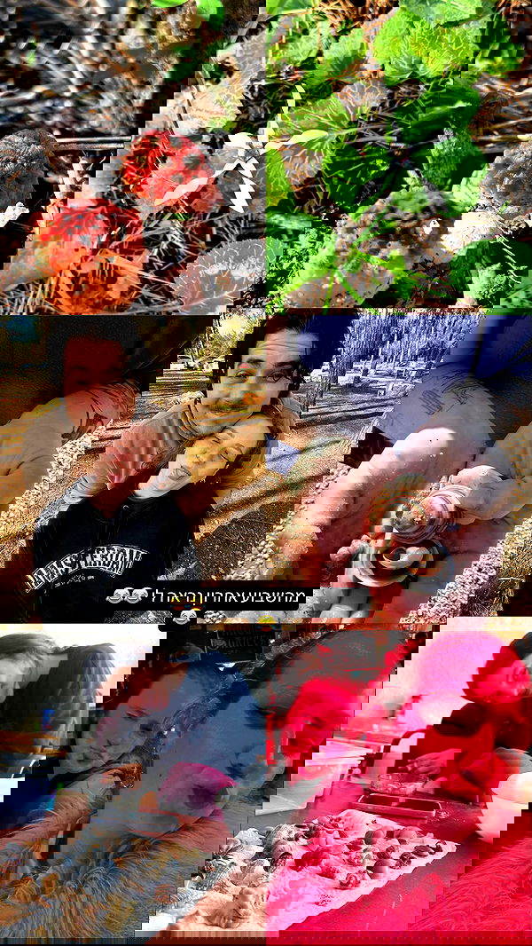 mishel116 mishel116 archive image