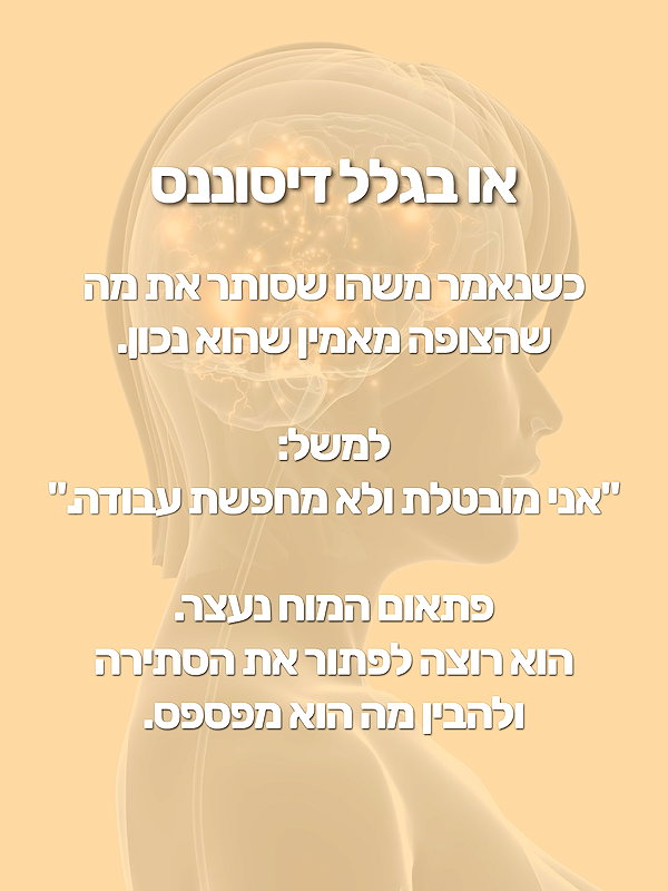 yanavekno instagram image archive image