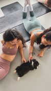 __yaheli_ Altpins Profile Picture
