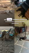 orman.mariee Altpins Profile Picture