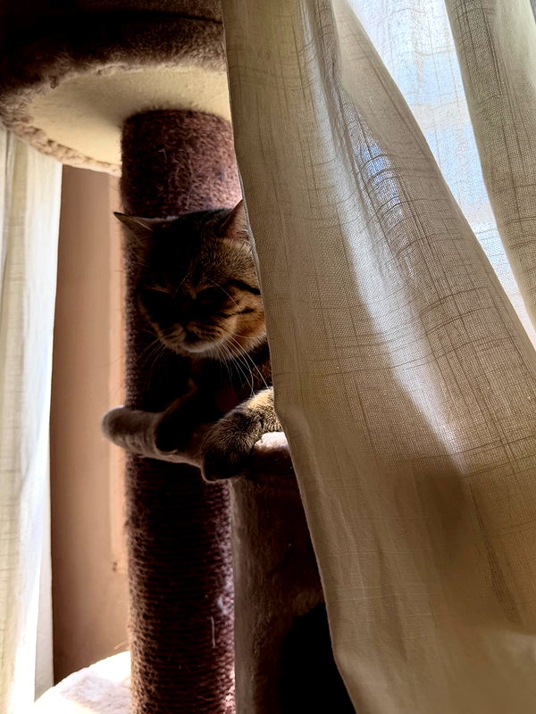 Archived image from @henshitritt on Instagram