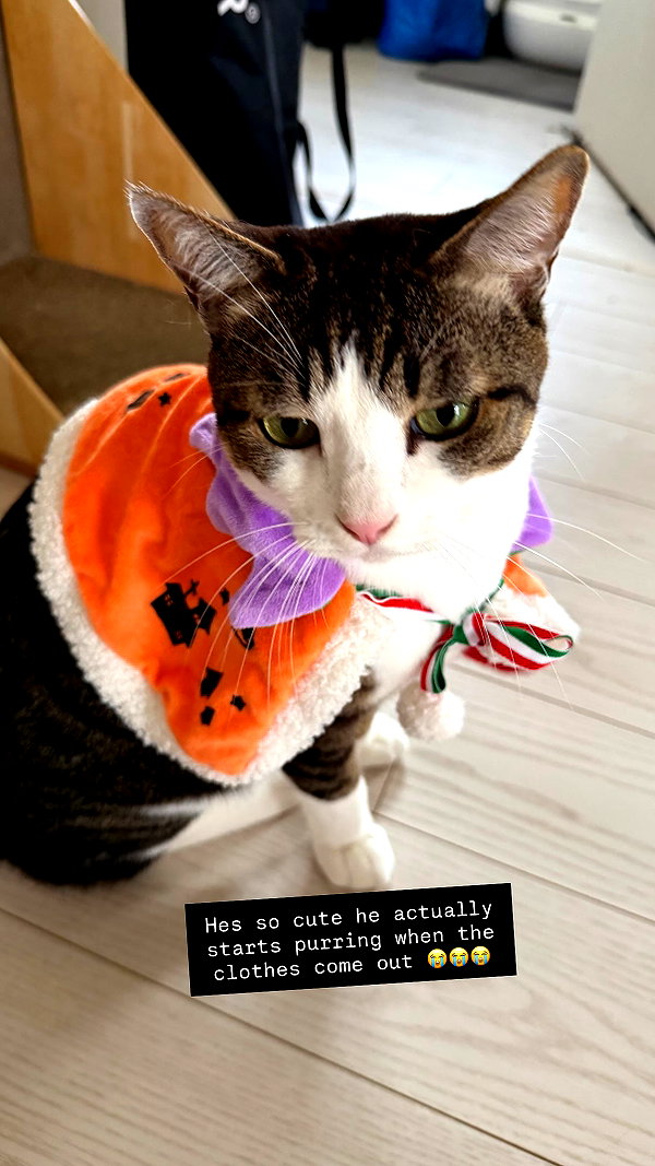 Archived image from @peachmilky_ on Instagram
