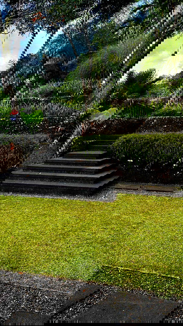 taylor.creeden taylor.creeden archive image