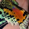 jiw_____n Altpins Profile Picture