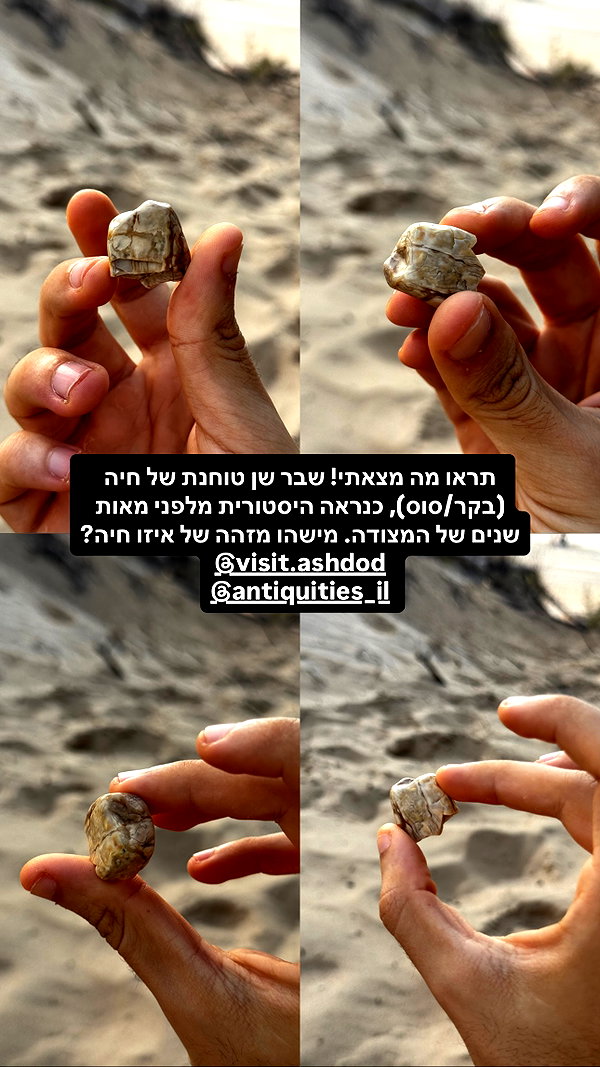 assoolin instagram image archive image