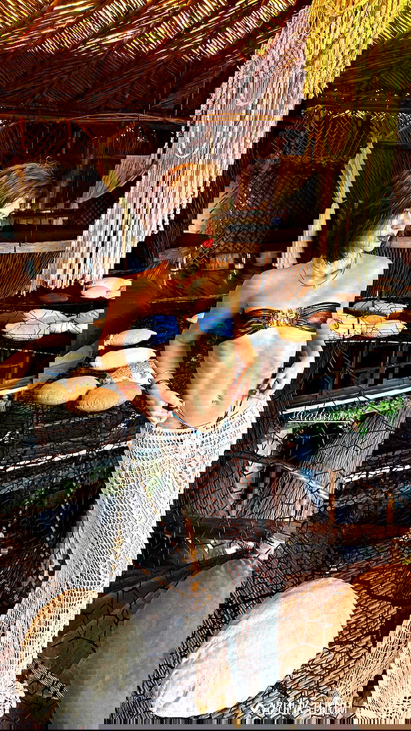 taylor.creeden taylor.creeden archive image