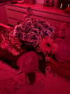 bymonamarie Altpins Profile Picture