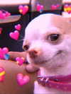 lulymakima Altpins Profile Picture