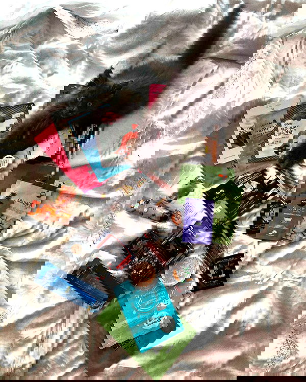 kkulakovaa image ~ Altpins