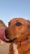 galibilaus Altpins Profile Picture