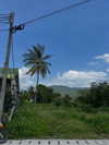 __yaheli_ Altpins Profile Picture