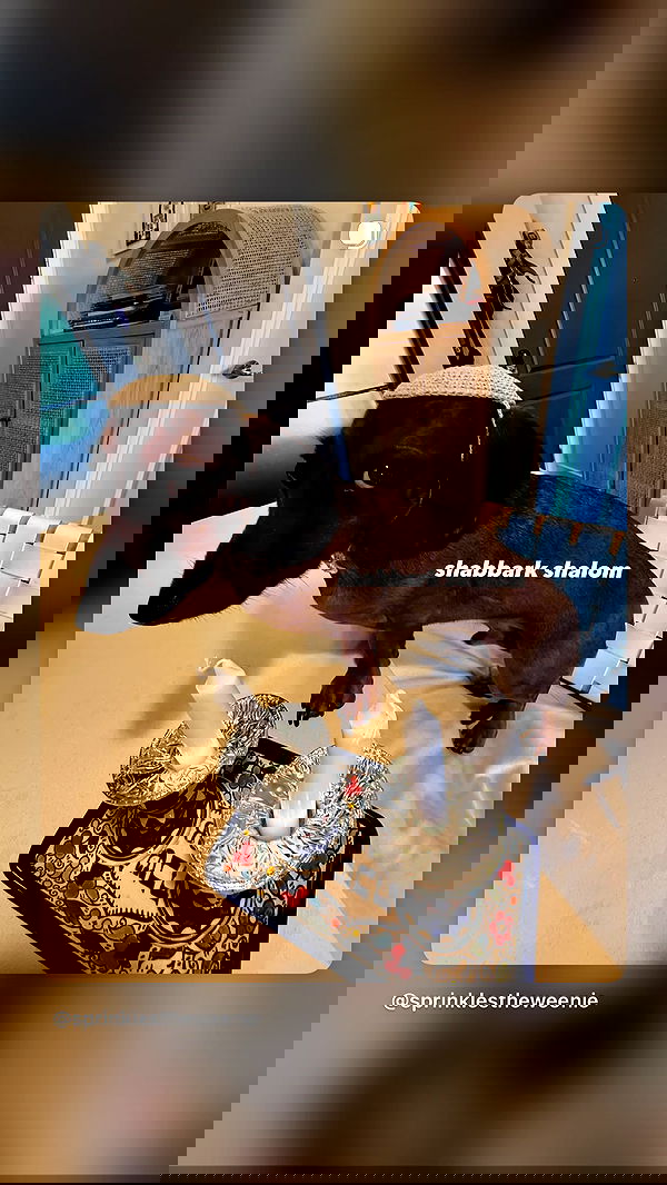 efrat_elmalich efrat_elmalich archive image